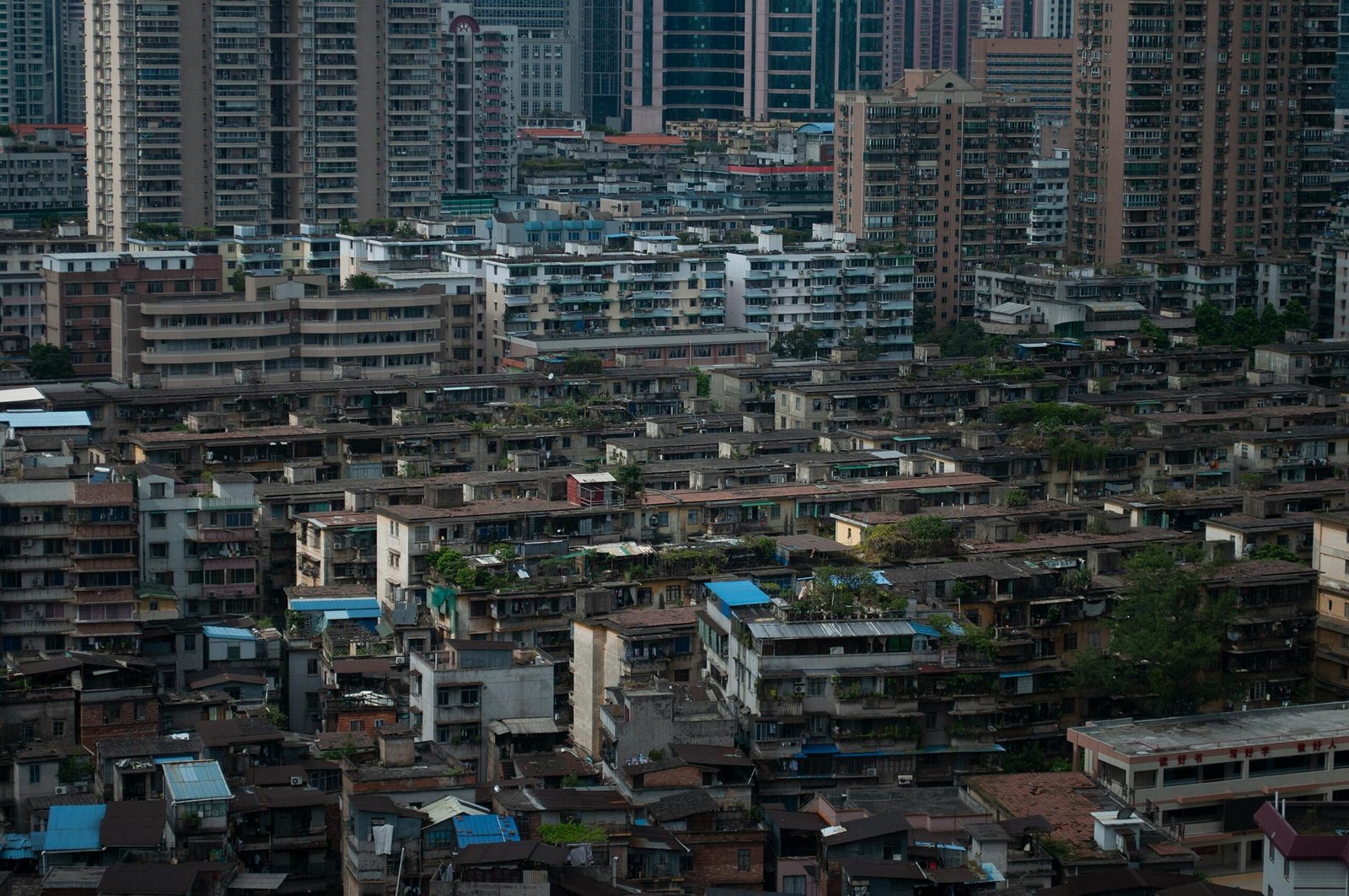 如果遇到鄰居擅自在頂樓加蓋鐵皮屋時,該如何應對?